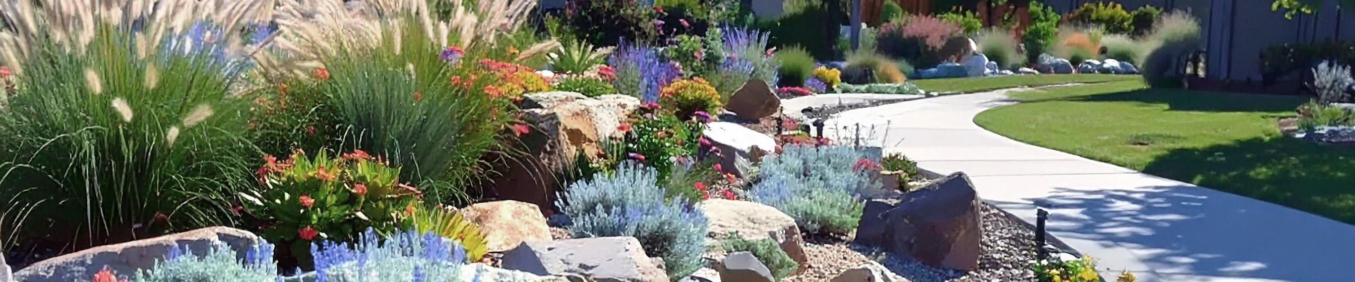 MCWD Landscape Incentive Program